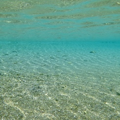 BLUE POINT 3