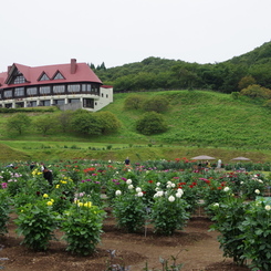 秋田国際ダリア園