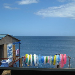 海の家