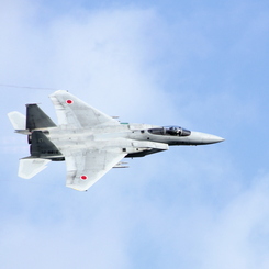 大空に翼を広げ