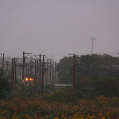 雨の電車