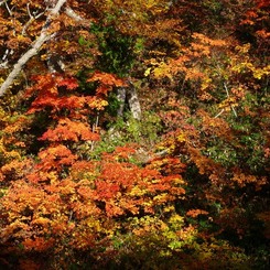 山ノ鼻の近く