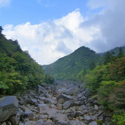 大地を動かず水