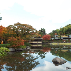 紅葉の日本庭園4