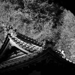 京都・寺院01