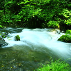 Karuizawa, 軽井沢