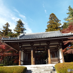 能仁寺1