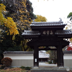 天岑寺6