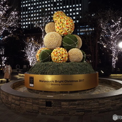 クリスマスツリー4