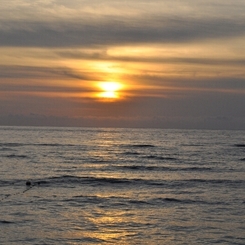 奄美の海と夕日 No.1