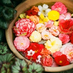 flowers