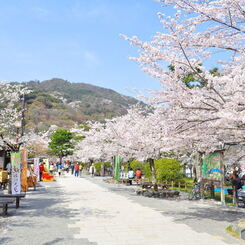 嵐山