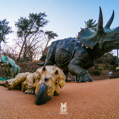 トリケラズ
