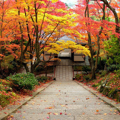 常寂光寺