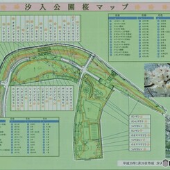 汐入公園、桜マップ