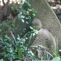 DSC05136