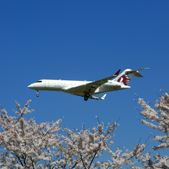 「SKY」桜と☮カタール・Bombardier BD-700 A7-CEE✈　
