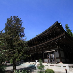 夏の鎌倉 円覚寺