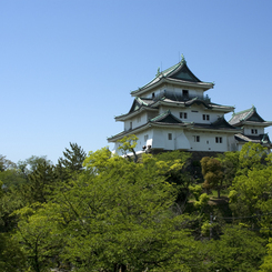 GreeN!!!　新緑に包まれた和歌山城