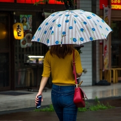 今日も雨‥