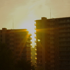 朝が来た