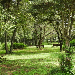 初秋の智光山公園散策7