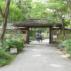 初秋の日本庭園3