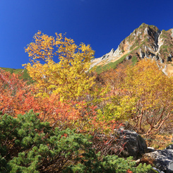 紅葉映える千畳敷 (221T)