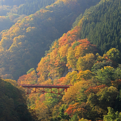 山田温泉