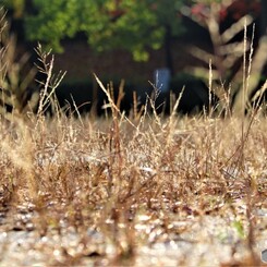 秋の地熱は