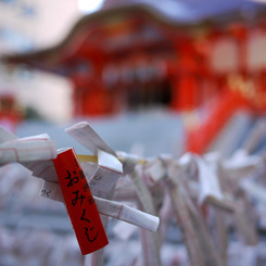 2010-10-011 花園神社　おみくじ