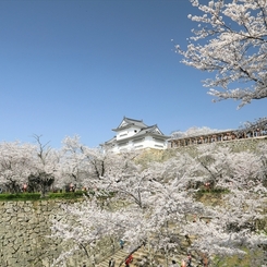 津山城-016