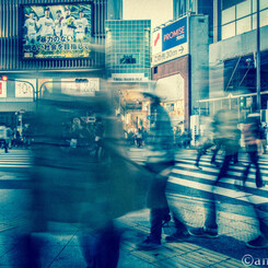 暴力のない明るい社会を目指して