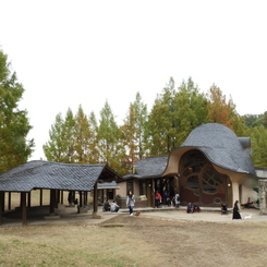 あけぼの子どもの森公園10