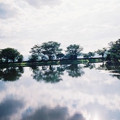FH040033