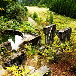 いつかの繁栄へ
