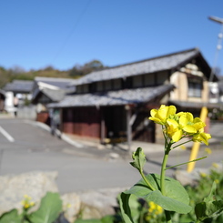 太山寺〜春近し＃２