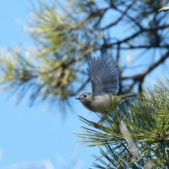 撮ってね！　DSC_7047