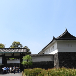 皇居東御苑1
