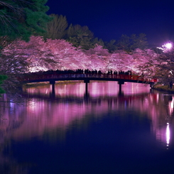 春陽橋