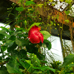 saturated colors　#01