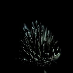 Dark Fantasy