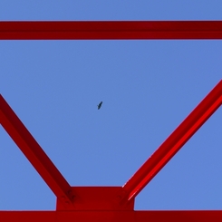 P10708721
