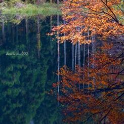 蟹淵の紅葉