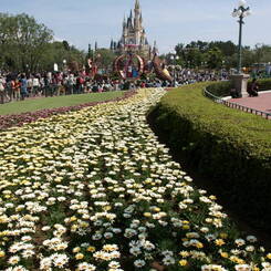 ディズニー2010-4