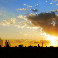 夕方散歩