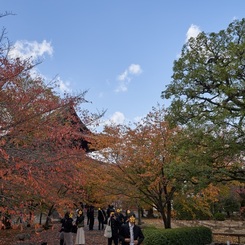 東寺です。