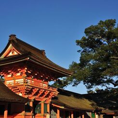 宇佐神宮の本殿と空の青