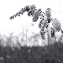 R0010815