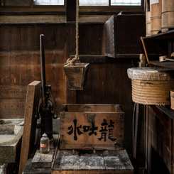 水吐龍